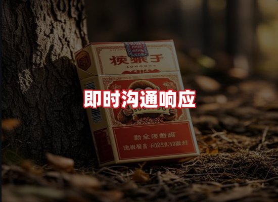 专业团队
